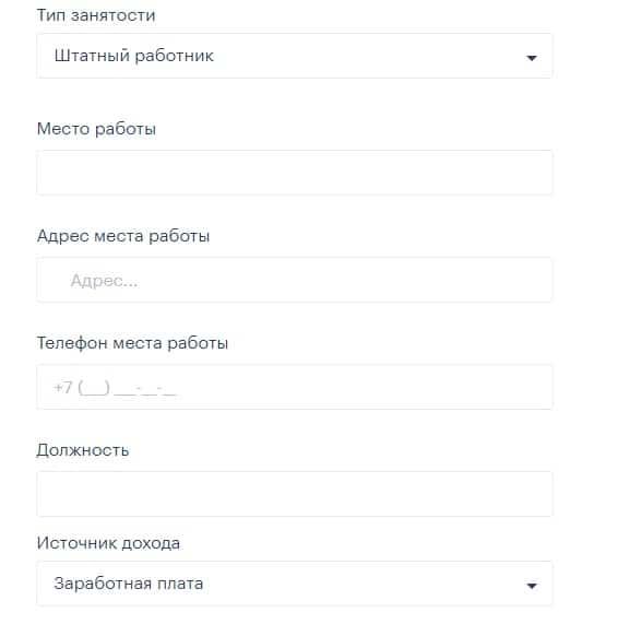 Указание вида занятости Указание вида занятости