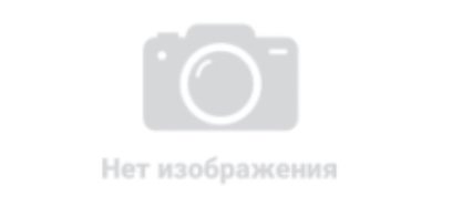 Дам Деньги